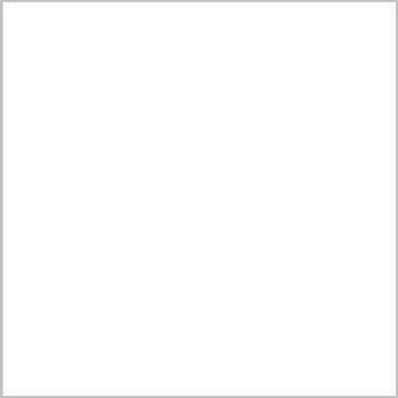 White Kitchen Cabinets
